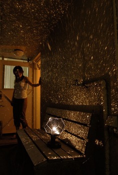 2013 new arrived Home Planetarium Star Master Projector Romantic Light Lamp Japan Gakken Vol.9 DIY p