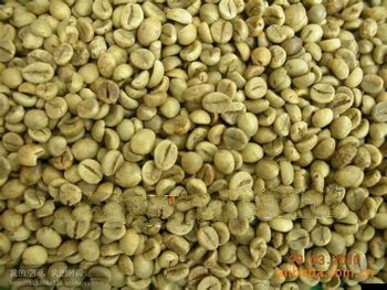 500g High Quality 2013 Fresh Vietnam Robusta  (Coffea canephora )Green Raw Coffee Beans