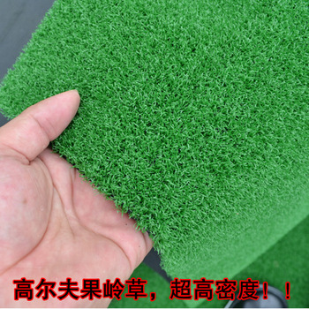 Artificial Turf      Advanced Plastic   Golf  Mat