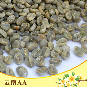 Free Shipping !China Yunnan Small Coffee Beans, Arabica A Green Coffee Beans 500g