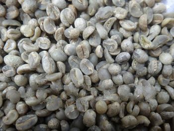 Free shipping!  1000g (2.2lb) China Yunnan Small Coffee Beans, Arabica A Green Coffee Beans