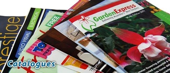 Free shipping ,148x210mm normal A5 size magazine and brochure pinting,MOQ is can be negotiated with 
