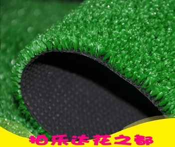 Free shipping Grass carpet