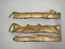 Snake Skin Clutch