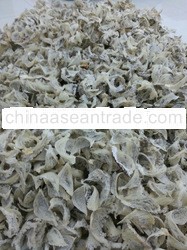 Raw unprocessed Birds Nests