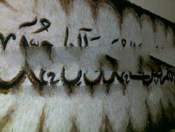 calligraphy shalawat