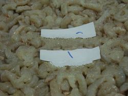 PUD Shrimp (Vannamei Shrimp)