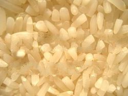 Organic Jasmine Rice