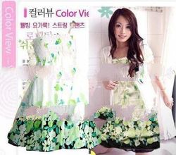 Korean Sweet Flora Baby Doll Chiffon Dress