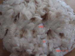 Cotton Comber noil