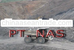 Steam Coal