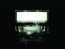 Derniz Soothing Cream