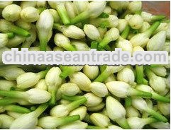 Fresh Jamine Flowers
