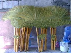 soft broom