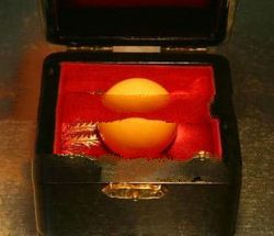 Yellow Color Pearl Andeca-Andeci