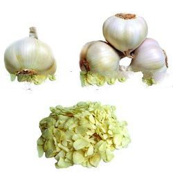 Garlic/Garlic flake/Garlic Powder