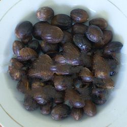 High Grade Raw Indonesian Whole Round Dried Nutmeg