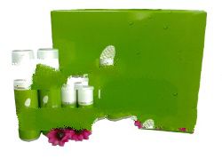 Xanzwhite Cosmeceuticals Skin Lightening Product