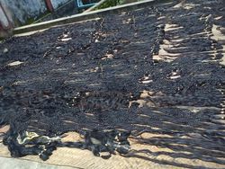 raw washing hair seller