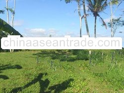 Set in the area where lies the most famous Bali rice terraces, at 30 km. from Ubud and 60 km.