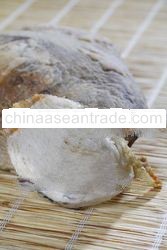 Bird's Nest Cave Nest