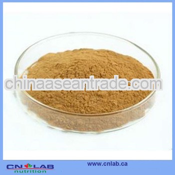 100% Natural Coffee Beans Extract Powder