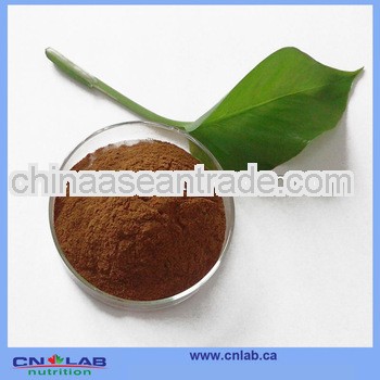 100% Natural Nettle Root Extract Powder