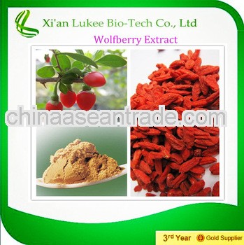 100% Natural wolfberry extract with competitive price