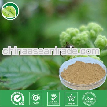 100% Pure Gynostemma Pentaphylla Extract