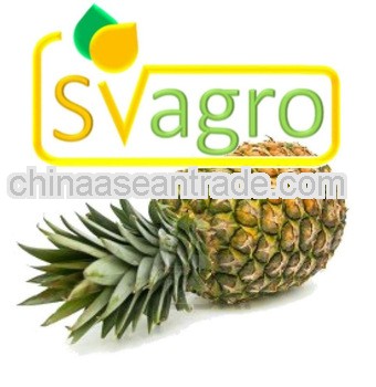 100% natural fruit juice powder / Pineapple Juice Powder