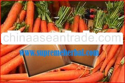 Natural Handmade Soap & Fruit Handmade Soap & Carrot Soap