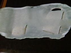 Male white bleach stingray skin