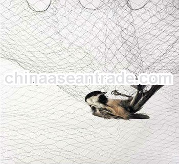 110D/2ply mist net (EU market)