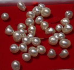 Lombok Pearl