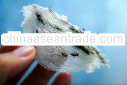 Unprocessed Bird Nest from Taiping Perak