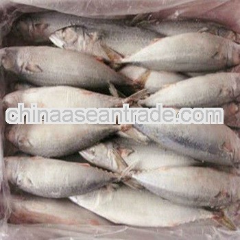 125g fresh fish canned sardines in oil