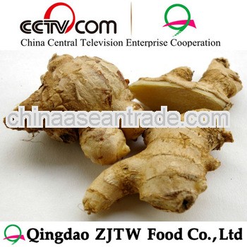 1LB Dried/Fresh Fresh Ginger Importers