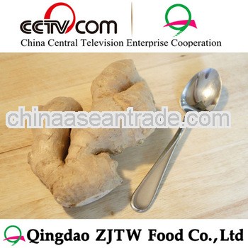 1LB Fresh Ginger Price Import Ginger