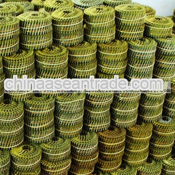 1.25 inch big head coil nails with galvanized