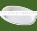 Biodegradable Tableware