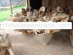 Teak Root Table Big