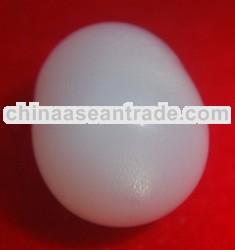 tridacna pearl natural