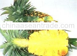 Pineapples Fresh Fruit from Thailand 100%