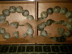 High Grade Natural Wild Agarwood Bracelets 16mm Tarakan Indonesia Kalimantan