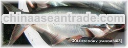Golden Dory /Cream Dory [pangasius]
