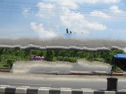 Sell Land In Indonesia For Bird Nests