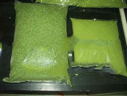 Moringa Powder, Flakes and other products