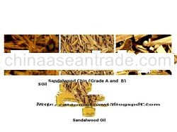Sandalwood Chip and Sandalwood Oil