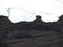 Coal From Indonesia South Kalimantan