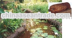 Coirlogs